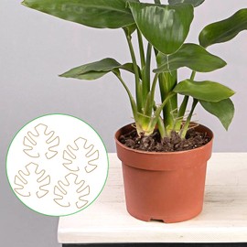 Tyqour 4pcs Plant Stem Support, Plant Supports for Indoor Plants Durable Iron Pothos Plant Climber Support, Nique Design for Optimal Growth, Indoor Plant Stakes (Gold, 13x14cm)