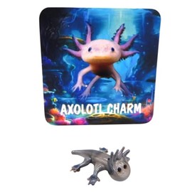 Westmon Works Axolotl Pocket Charm with Enchanting Story Card Lucky Trinket