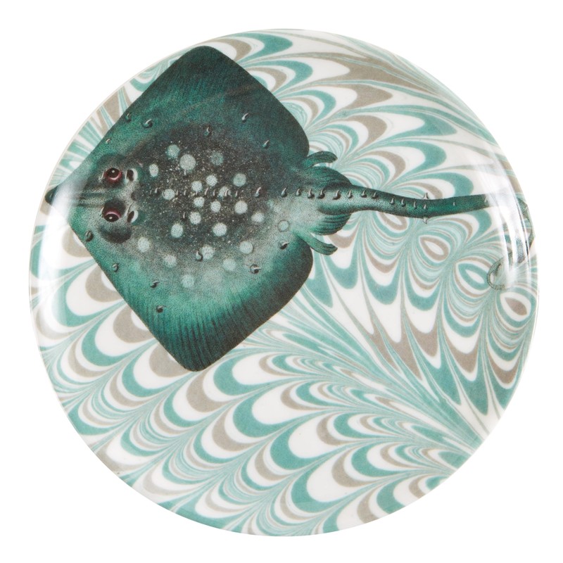 Palm Beach Coasters S/4 Assorted