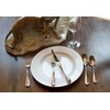 Fortessa Forge 18/10 Stainless Steel Flatware, 5 Piece Place Setting,