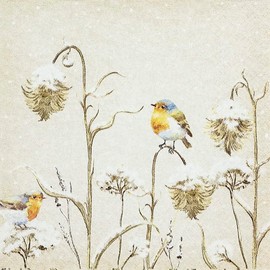 20 Napkins Bird on Winter Thistle | Frost | Animals | Winter | Christmas | Table Decon 33 x 33 cm