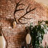 MSSOHKAN European Mount Skull Hanger with Antler Shape Deer Skull
