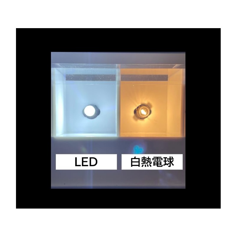 NISSEI KOGYO POLARG LED PREMIUM POSITION LICENSE ROOM T10 90lm