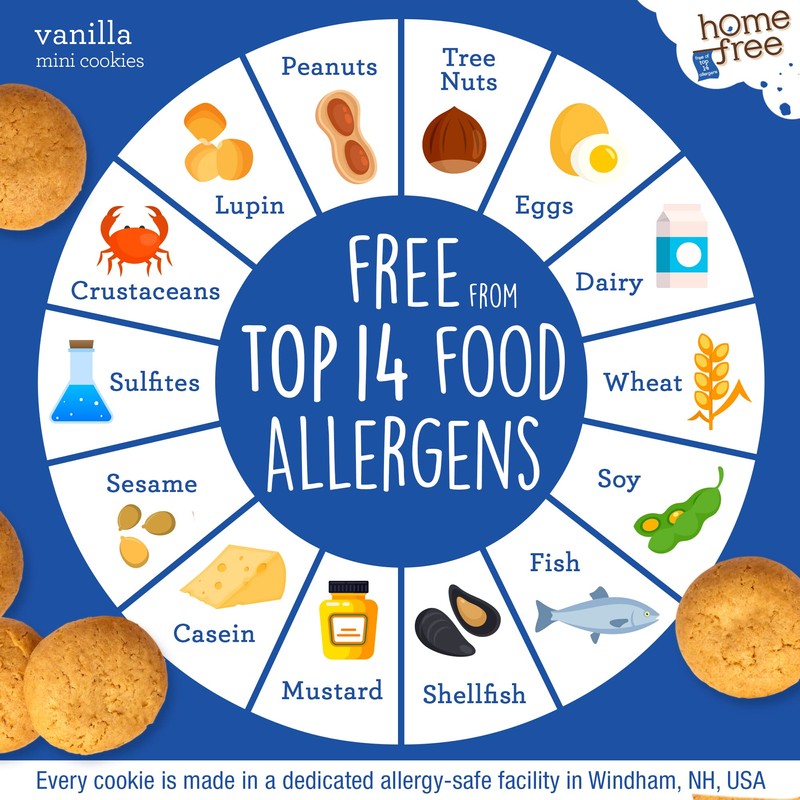 Homefree Treats you Can Trust, 70% Organic, Vanilla Mini Cookies,