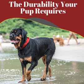 Ridge Ramblers - Advanced Tactical Dog Collar with Handle - Heavy Duty Dog Collar Made with Lightweight Metal Hardware and Soft Neoprene Padding - Military Dog Collar for Medium Large and X-Large Dogs