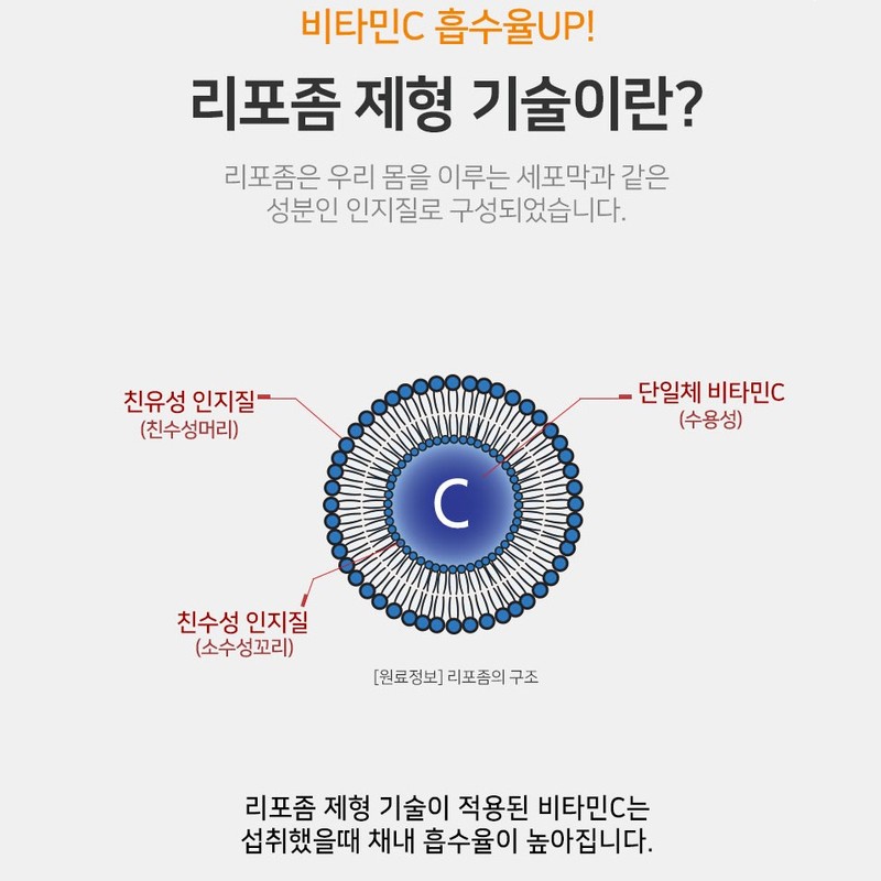 WithBio 리포좀 비타민C 500mg 비타민씨 활성산소 제거 항산화 효능 2개월분