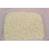 Toho Seed Beads 11/0 - Silver-Lined Milky Light Jonquil