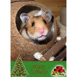 Hamster Christmas Card 'Merry Christmas' - Special Xmas Card for Him Her Kids Male Female