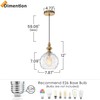 Helitemis 1-Light Brushed Brass Glass Pendant Light, Adjustable Height Modern
