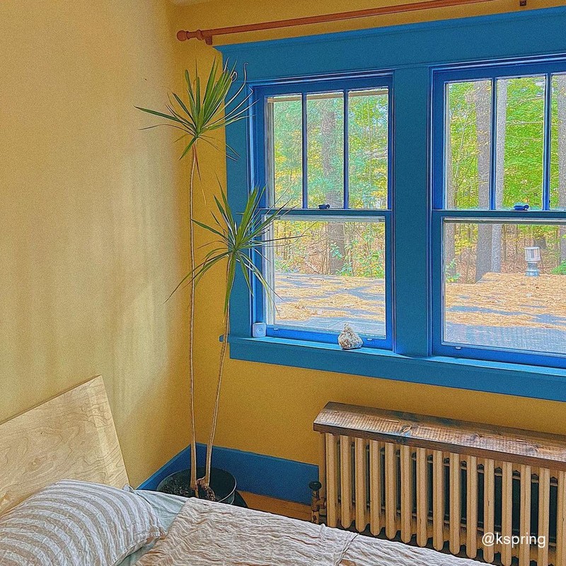 BACKDROP | Premium Interior Paint | Standard Semi Matte, Low