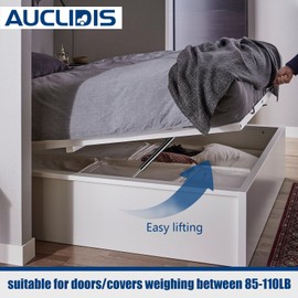 20 Inch 100lb/445N Gas Strut Shock Lift Support Spring for RV Bed Storage Cover Camper Under Bed Tool Box Lid Basement Door Boat Hatch Cabinet Struts Replacement Parts, Set of 2 by AUCLIDIS