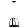 Livex Lighting 1 Lt Textured Black Pendant