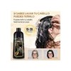 Kaisasa® Shampoo Con Tinte Cubre Canas Natural Jengibre 500ml-Negro