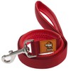 Canny Dog Lead Lead With Soft Padded Handle And Positional