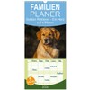 Familienplaner 2026 - Golden Retriever - Ein Herz auf 4