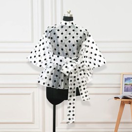 AOMEI Women's Stand Collar Polka Dot See Through Front Tie Peplum Blouse Transparent XL