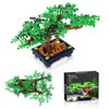 TENHORSES Bonsai Tree Building Set for Adults, Creative Plants Building