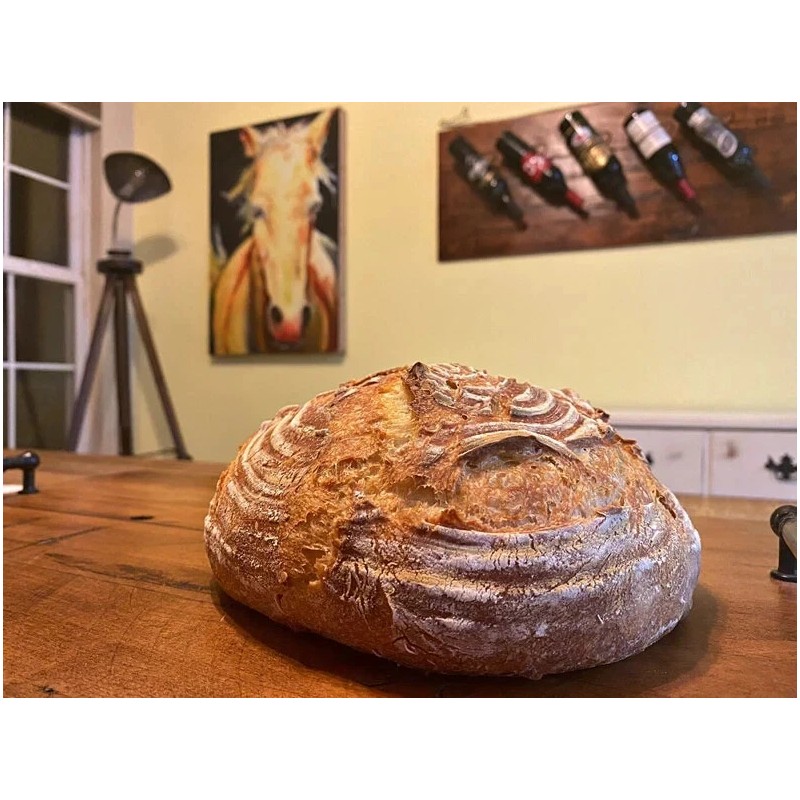 Heritage Sourdough Dehydrated Sourdough Starter Sour Late 1800's San Francisco