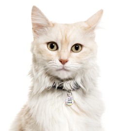 Spoilt Rotten Pets 19mm Rescued Adopted & Loved Hearts Rescue Dog or Cat Identity Disc, Cat Kitten Dog Puppy ID Tag, Pet Tag Custom Printed with Your Contact Details