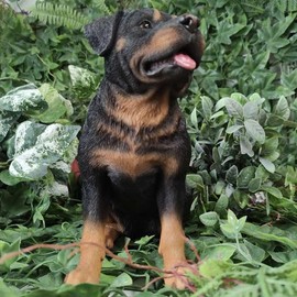 Vivid Arts - Rottweiler - XRL-ROTT-D