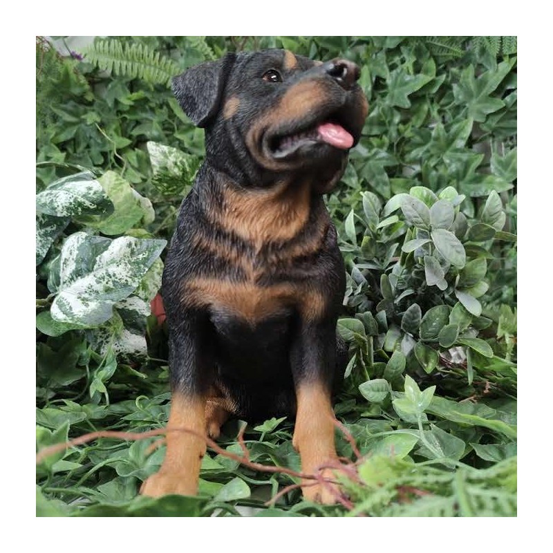 Vivid Arts - Rottweiler - XRL-ROTT-D