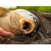 Rod Hutchinson Naturalz 16mm Wafters Water Snail 60g