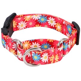 Rhea Rose Dog Martingale Collar with Quick Release Buckle, Adjustable Soft Escape Proof Training Collar, Red Flowers Pattern, Large