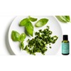 ACEITE ESENCIAL DE ALBAHACA BASIL 15ML