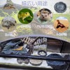 Reptile Water Tray Pet Bait Ball Bait Tray Natural Rock
