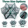 6 Hole Folding Fishing Trap Net 40CM 50CM 60CM –