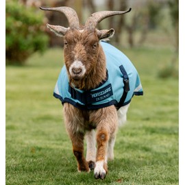 Horseware® Goat Coat (100g Light)