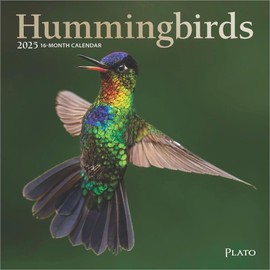 BrownTrout, Hummingbirds Plato 2025 Mini Wall Calendar
