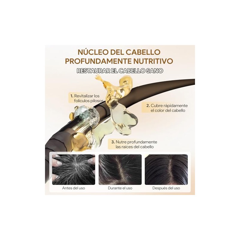 Black Hair Dye Shampoo 3 in 1, Shampoo para Canas