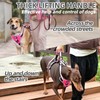 PUPTECK Escape Proof Dog Harness with Padded Handle, No Pull