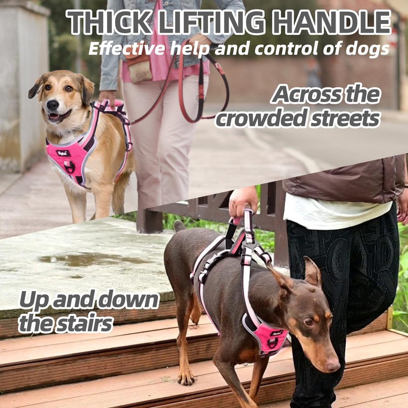 PUPTECK Escape Proof Dog Harness with Padded Handle, No Pull