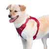 Sunraymascota No Pull Dog Harness Escape Proof, Adjustable Mesh Puppy