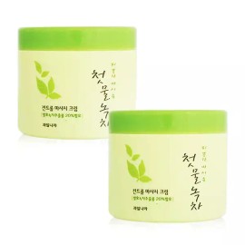Fruit Land 과일나라 첫물녹차 컨트롤 마사지크림 300g X 2개 Fruit Country First Green Tea Control Massage Cream 300g X 2 units