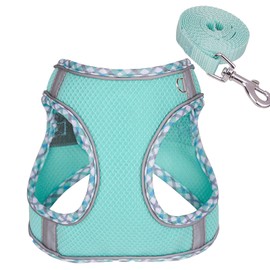 Dog Harness, Reflective Dog Harness, Small, Medium Dogs, Soft Chest Harness, Air Mesh, Breathable Safety Harness, Cat Harness for Small Dogs, Cats - Green, L