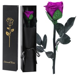 Eternal Infinity Rose Red with Stem, Gifts for Women, Eternal Rose in Gift Box, Preserved Flower for Mum, Girlfriend, Birthday Gift, Anniversary Gift, Woman (Purple)