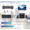 ZERFUN 2 Channel Rechargeable Wireless Microphone System, Pro UHF Metal