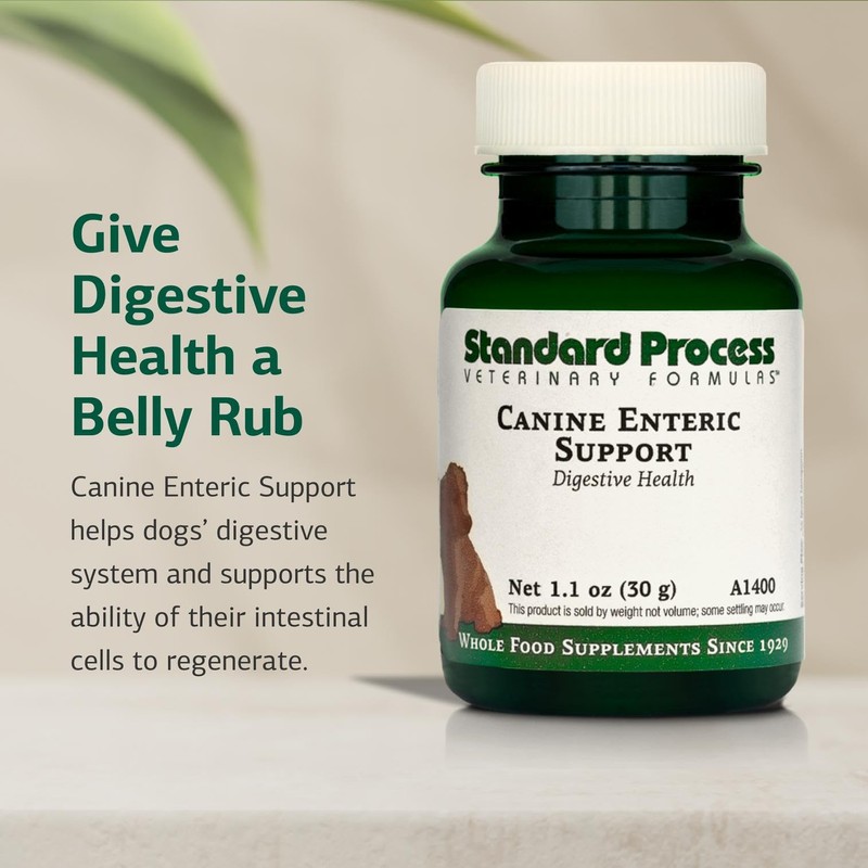 Standard Process Inc. Canine Enteric Support - Digestive System Support