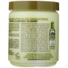 Hollywood Beauty Olive Cholesterol 20 oz