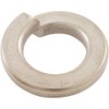 Pentair 98220600 18-8 Stainless Steel Washer Split Lock Replacement EQ-Series