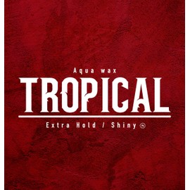 Pion Hair Styling Wax 150 ml - Long-lasting Hold, Texture and Volume, Daily Use, for All Hair Types (150 ml (Pack of 1), P6 Tropical)