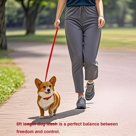 Siumouhoi 6 FT Puppy Leashes, Strong Traditional Style Leash with Easy to Use Collar Hook,Dog Lead Great for Small and Medium and Large Dog (Red, 5/8 in x 6 ft)