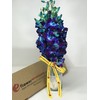 eflowerwholesale - Premium Cut Blue Orchids (10 stems Orchid with