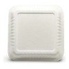 Contenedor Biodegradable 9 X 9 .de Caña 200 Pzs Especial.