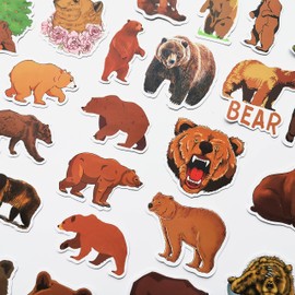 50Pcs Wild Brown Bear Stickers Cute Brown Bear Decal for Camp Window Stickers Hiking Decals for Cars