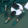Professional Hair Brush Set, 6 Counts/set Wet & Dry Hair