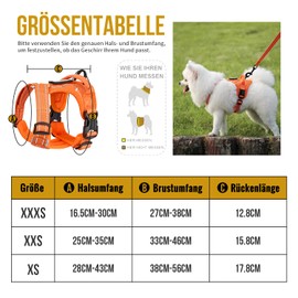 OneTigris ANTZ Tactical Harness Set for Small Dogs, and Lead with Light Reflective Band, Dog Harness with Handle for Small, Medium Dogs such as Chihuahua, Yorkshire, Viennese Dog, Orange, XS